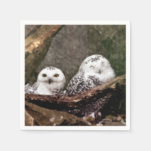 Servilleta De Papel Dos búhos