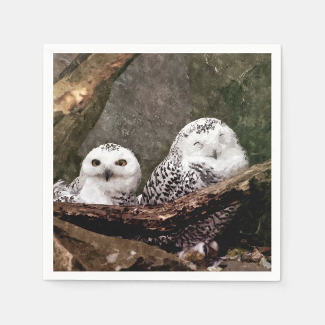 Servilleta De Papel Dos búhos (Anverso)