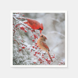 Servilleta De Papel Dos cardenales con bayas rojas en invierno