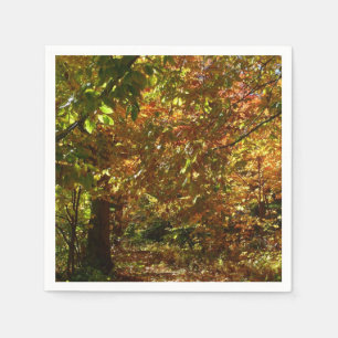 Servilleta De Papel Dosel de Hojas de Otoño II Fotografía de Otoño Ama