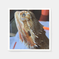 Dragon Napkin con las culatas