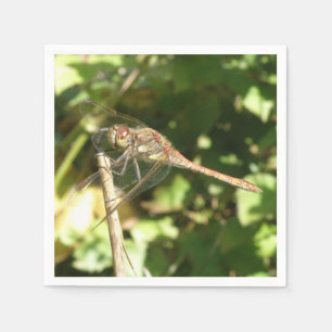 Servilleta De Papel Dragonfly on the Twig Napkins