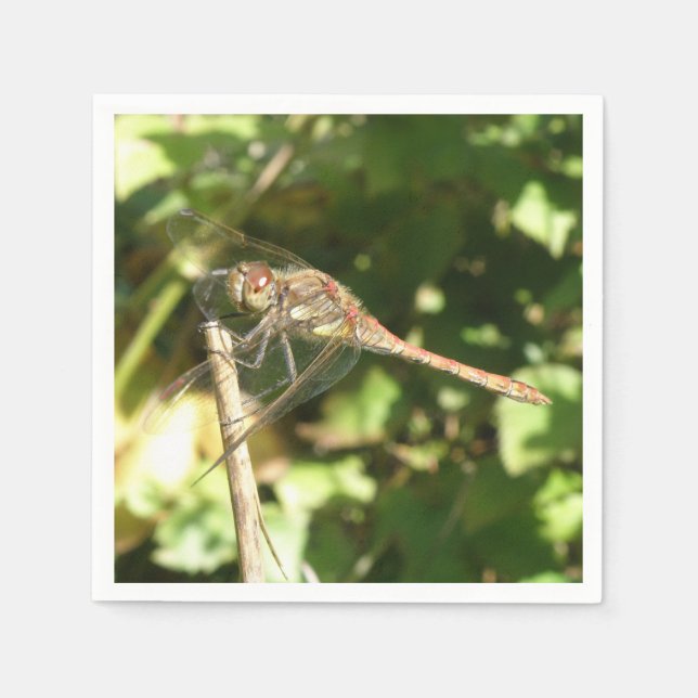 Servilleta De Papel Dragonfly on the Twig Napkins (Anverso)