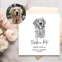 Dramas personalizados de perro de Golden Retriever