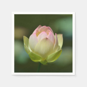 Servilleta De Papel Dreamy Lotus Blossom