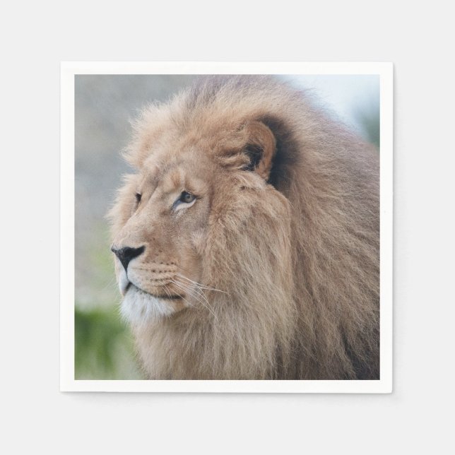 Servilleta De Papel El abrazo del león (Anverso)