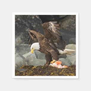 Servilleta De Papel El águila calva suprema