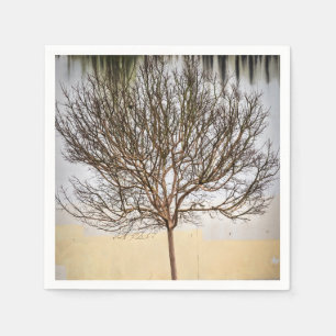 Servilleta De Papel El árbol