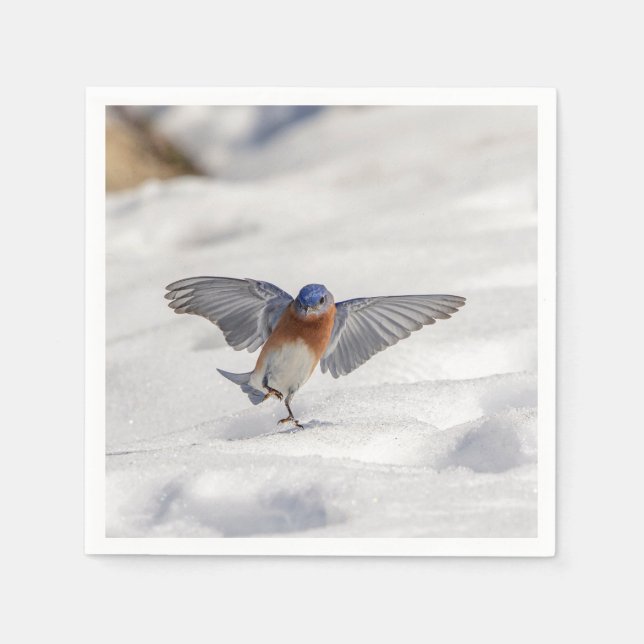 Servilleta De Papel El Bluebird oriental bailando en la nieve (Anverso)