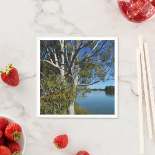 Servilleta De Papel El Oso De Koala Dormía En El Árbol De Goma,