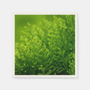 Servilleta De Papel El verde hermoso deja el fondo