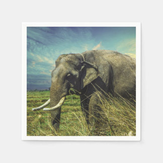 Servilleta De Papel Elefante