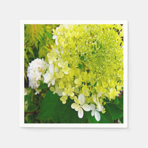 Servilleta De Papel Elegante Chartreuse Green Limelight Hydrangea