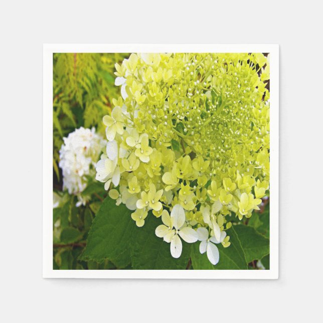 Servilleta De Papel Elegante Chartreuse Green Limelight Hydrangea (Anverso)