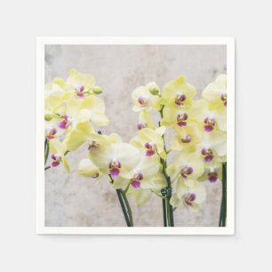 Servilleta De Papel Elegante Crema Romántica y Orquídeas Lilac