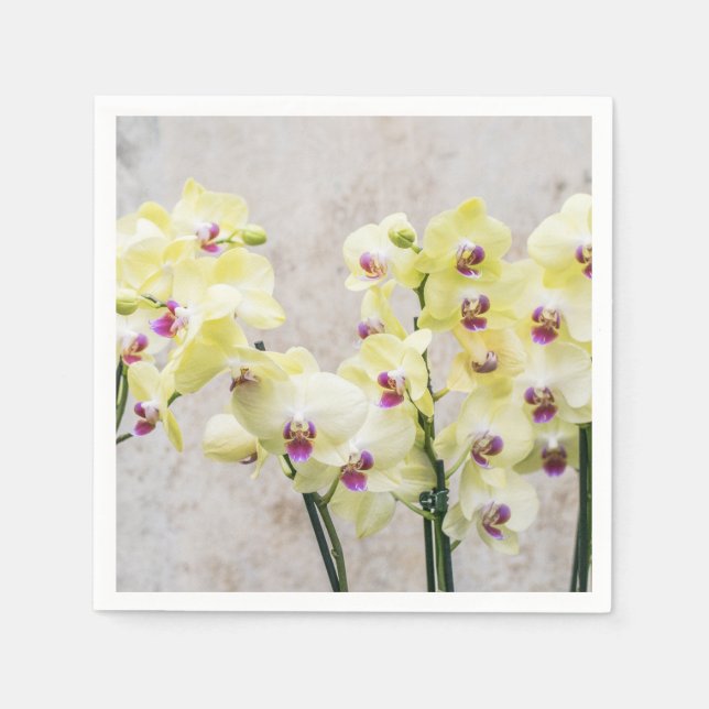 Servilleta De Papel Elegante Crema Romántica y Orquídeas Lilac (Anverso)