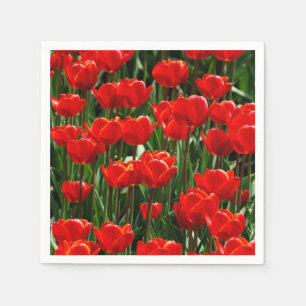 Servilleta De Papel Elegantes Flores Florales de Tulipán y Rosa Fotogr