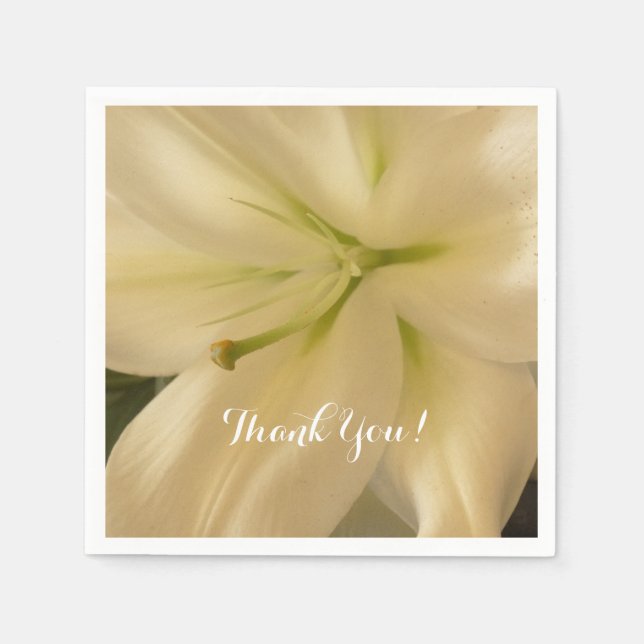 Servilleta De Papel Elegantes toallas de Crema Blanca (Anverso)