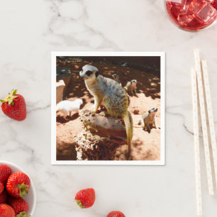 Servilleta De Papel Eliza Reina De Los Meerkats, Cuadros Fiestas De Pa