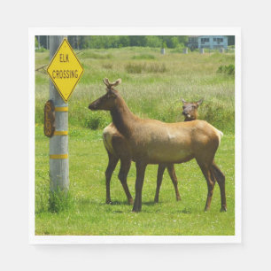 Servilleta De Papel Elk Crossing California Wildlife Photography