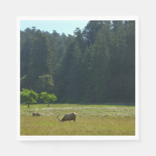 Servilleta De Papel Elk Meadow en el parque nacional de Redwood