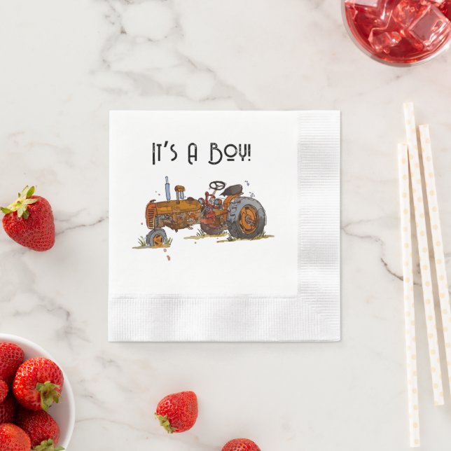 Servilleta De Papel En el camino (In situ)