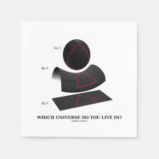 Servilleta De Papel ¿En qué universo vives? Astrofísica