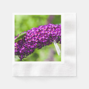 Servilleta De Papel energía katydid