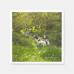 Servilleta De Papel Epagneul Breton, Bretaña Spaniel