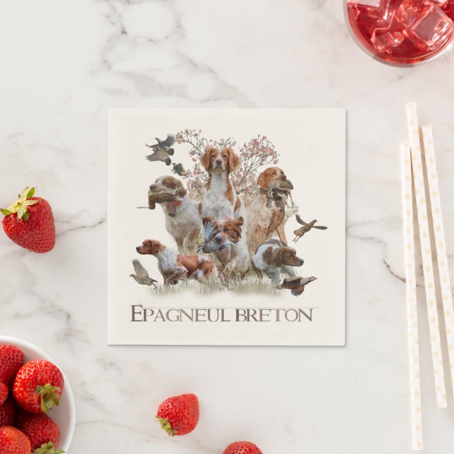 Servilleta De Papel Epagneul Breton, Bretaña Spaniel (In situ)
