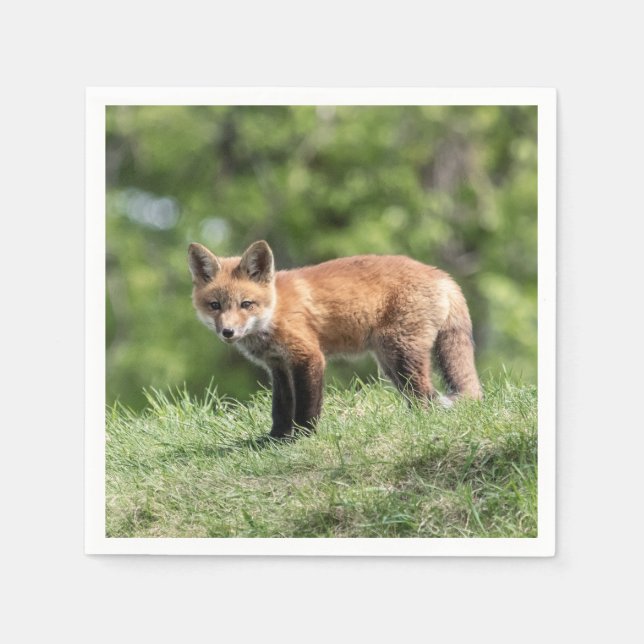 Servilleta De Papel Equipo del Fox rojo (Anverso)