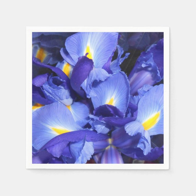 Servilleta De Papel Ermengarde (Anverso)