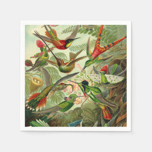 Servilleta De Papel Ernst Haeckel Trochilidae