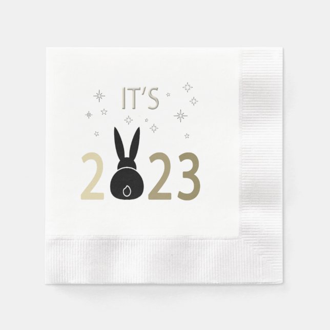 Servilleta De Papel Es Cojín decorativo de conejo 2023 (Anverso)