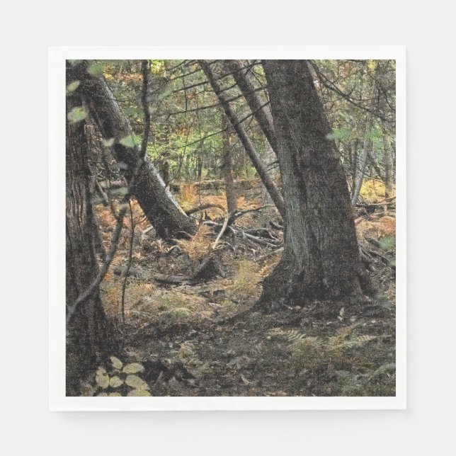 Servilleta De Papel Escenario forestal de otoño (Anverso)