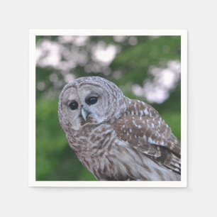Servilleta De Papel Espíritu Del Búho