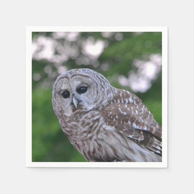 Servilleta De Papel Espíritu Del Búho (Anverso)