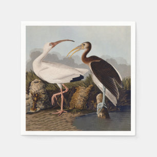 Servilleta De Papel Estampa Clásica de Pájaro Ibis Blanco de John Jame
