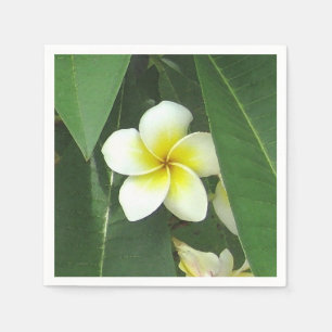 Servilleta De Papel Extremo del Plumeria