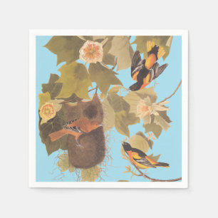 Servilleta De Papel Familia Baltimore Oriole Audubon con nido