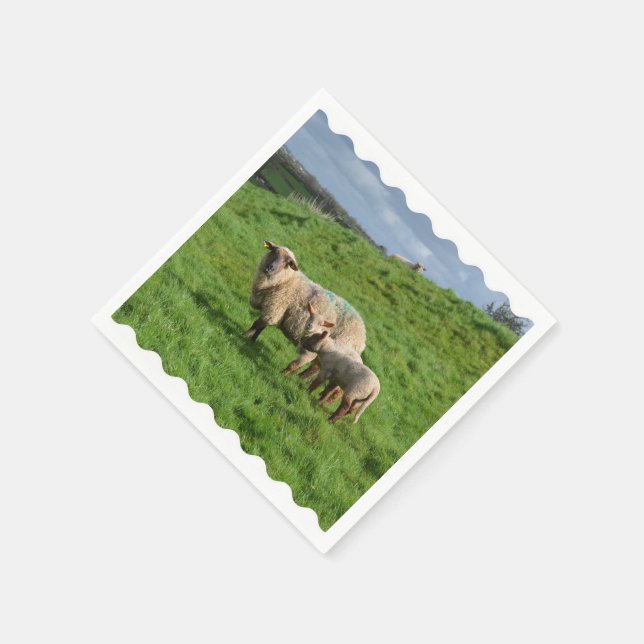 Servilleta De Papel Familia de ovejas (Borde)