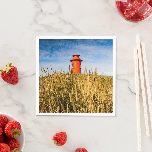 Servilleta De Papel Faro en Stykkisholmur, Islandia (In situ)