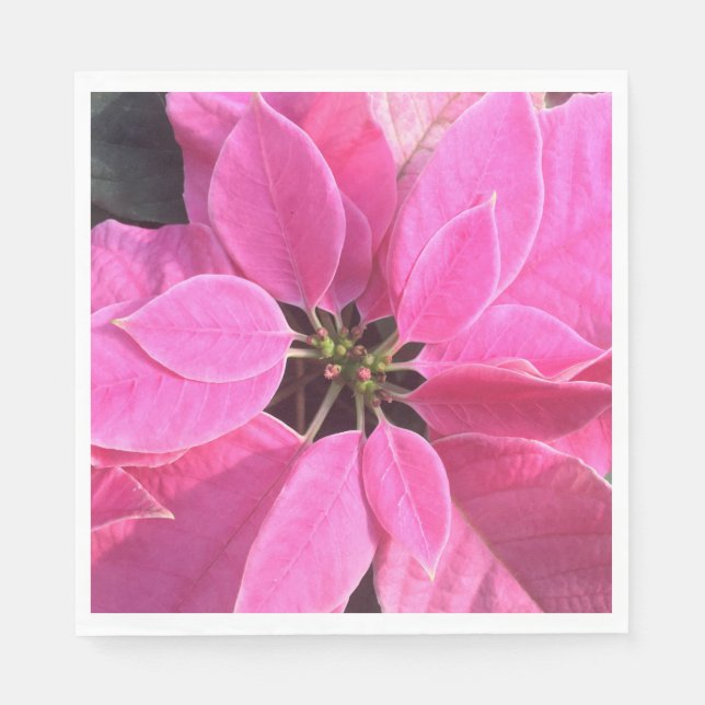 Servilleta De Papel Felices fiestas Poinsettia (Anverso)