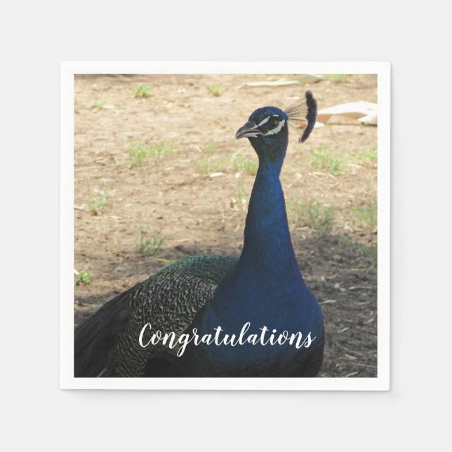 Servilleta De Papel Felicitaciones Blue Proud Peacock Photo Bird (Anverso)