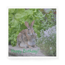 Feliz cumpleaños, mamá Bunny
