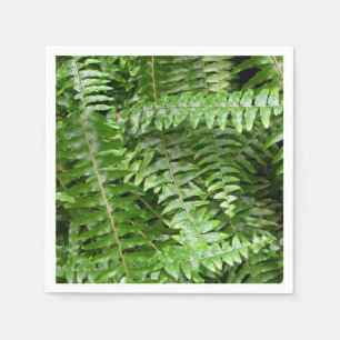Servilleta De Papel Fern Fronds I Green Nature