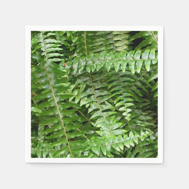 Servilleta De Papel Fern Fronds I Green Nature (Anverso)