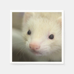 Servilleta De Papel Ferret face