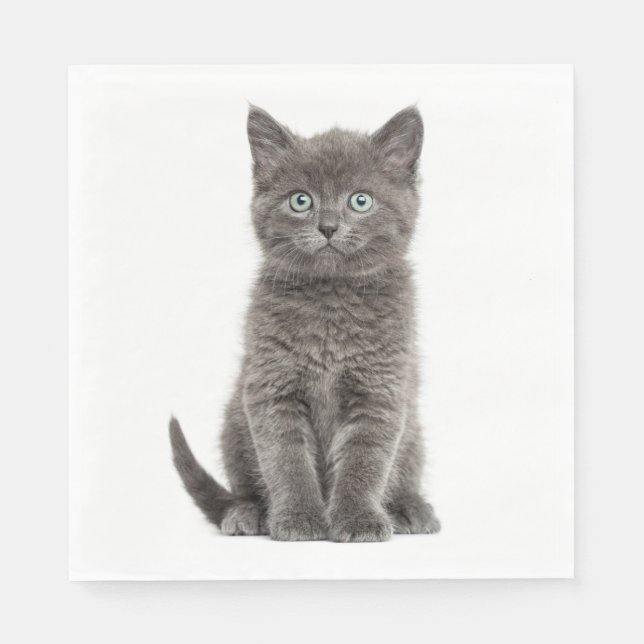 Servilleta De Papel Fiesta Gris Gris Gray Kitty Cat (Anverso)