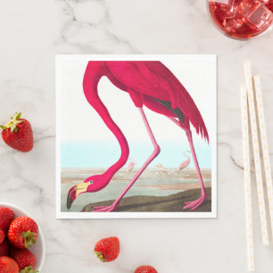 Servilleta De Papel Flamingo americano por John James Audubon